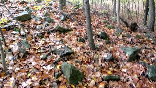 20171025_104303