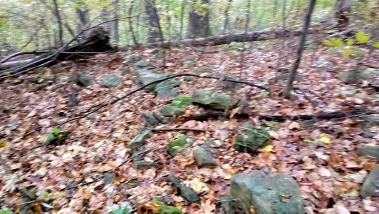 20171025_103316