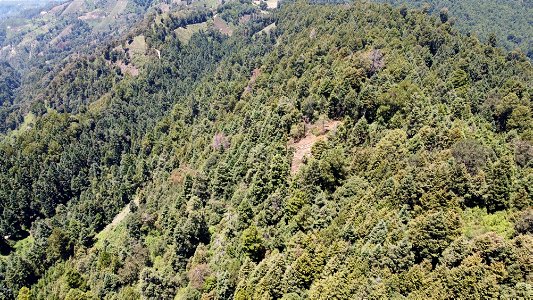 SEIARN_SEIF_DSIA_FERNANDO_VALDEZ_CALDERÓN_DJI_0105