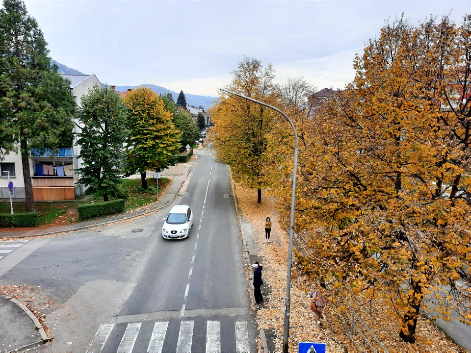Autumn in Jug Bogdana street, Starčevica, Banja Luka, BiH