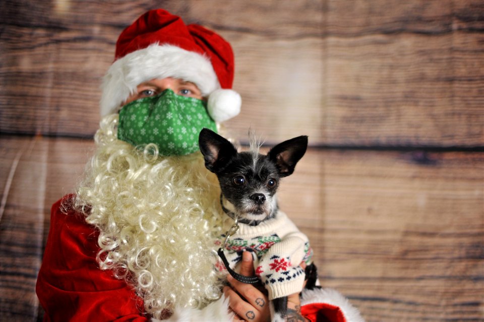 City of Elderly Love Claus for Paws Fundraiser