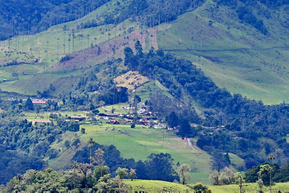 Paisaje en Quindío. Cordillera Central de Colombia. Camino Naciona. Vía a Toche y Cajamarca.