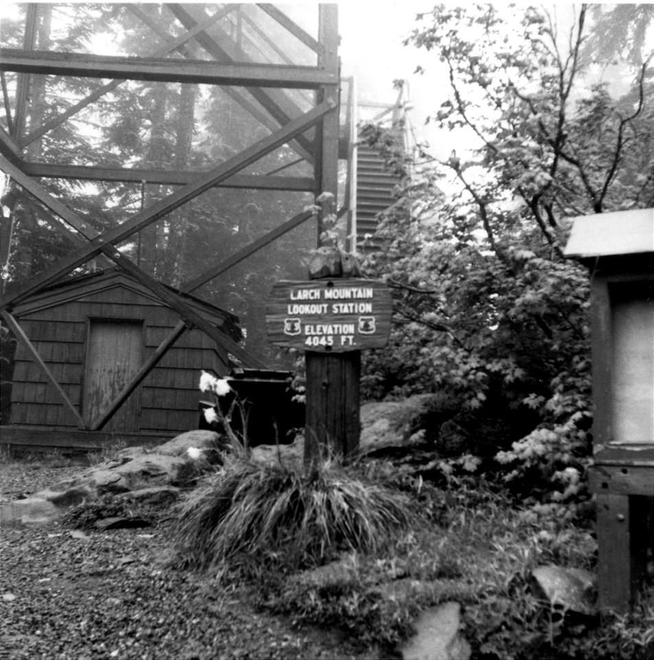 Larch Mountain, 1964