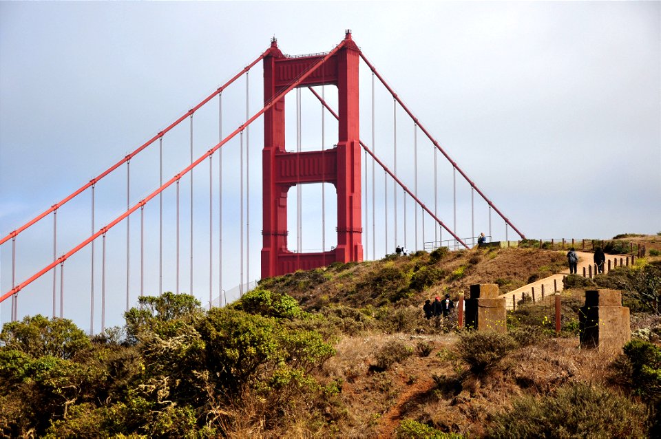 SFggb4