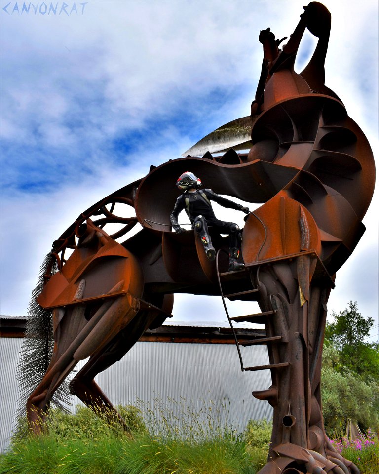 POST BIG DSC_4969B2