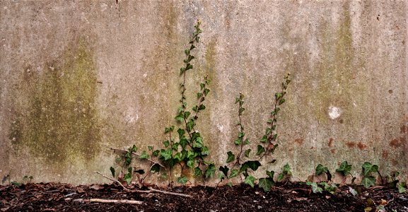 DowntownDurham-020621-16