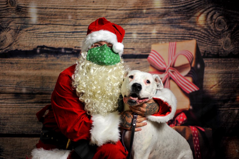 City of Elderly Love Claus for Paws Fundraiser