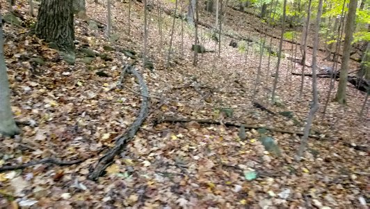 20171025_103046