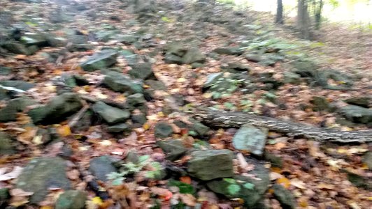 20171025_104445