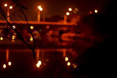 _dsc1491-1-3_24185827060_o -
