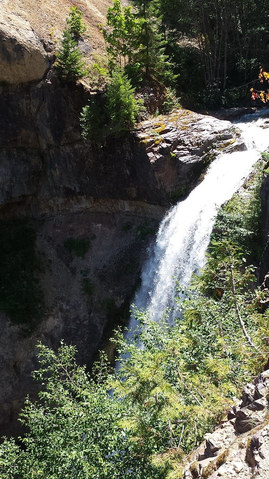 Forest Waterfall located near the upper Lewis River