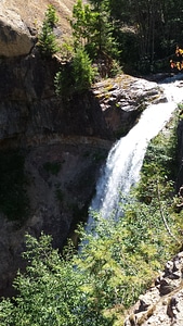 Forest Waterfall located near the upper Lewis River