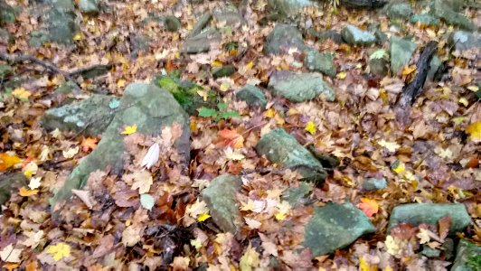 20171025_104356