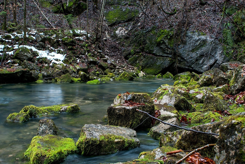 Stream in green forest photo