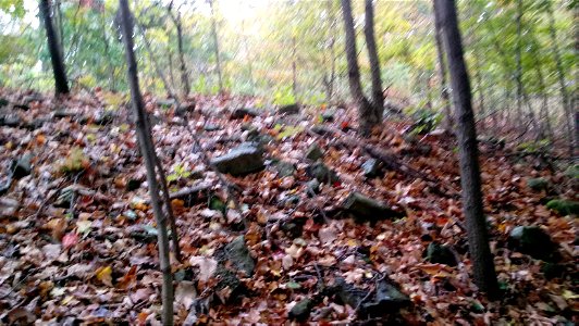 20171025_104306