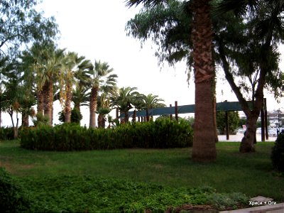 IMG_4033-1