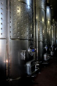 Vinificazione | Lorenzo Fidora