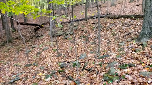 20171025_102827