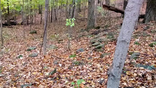 20171025_102911