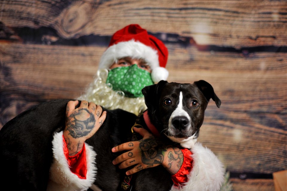 City of Elderly Love Claus for Paws Fundraiser