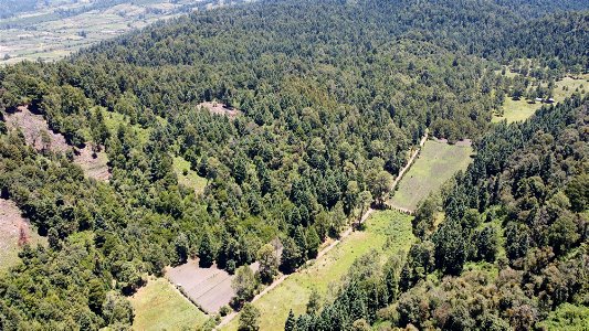 SEIARN_SEIF_DSIA_FERNANDO_VALDEZ_CALDERÓN_DJI_0262