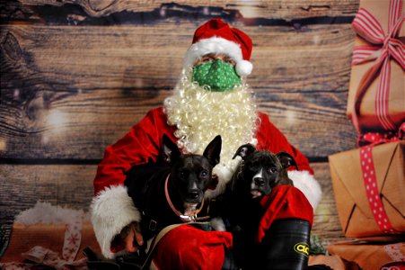 City of Elderly Love Claus for Paws Fundraiser