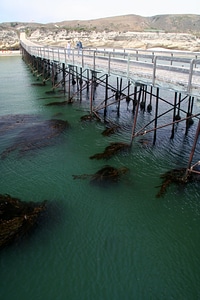 The pier of Santa Rosa Island, Channel Islands photo