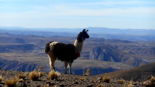 North Potosi - Bolivia