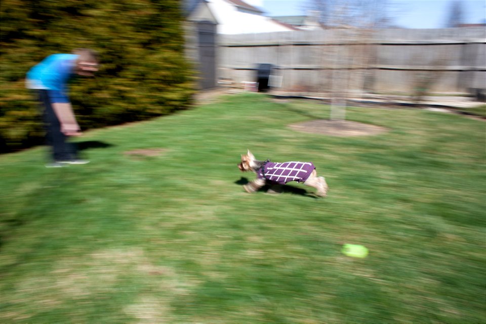 P4_Panning_3_Collins