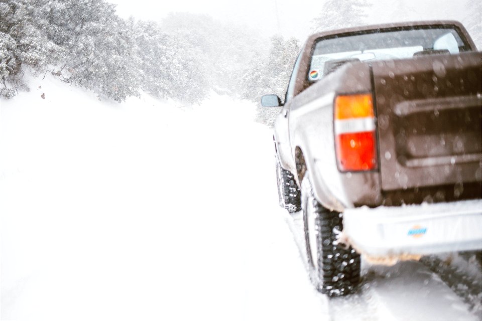 Winter Wonderland