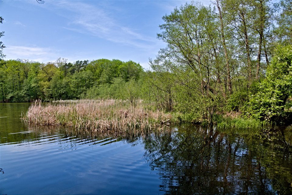 NSG Rangsdorfer See 01