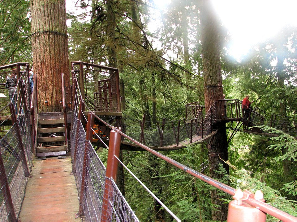 Capilano Suspension Bridge