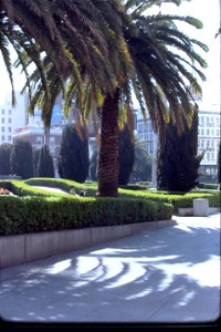 1976-05-CALI-SF-UnionStreet-09