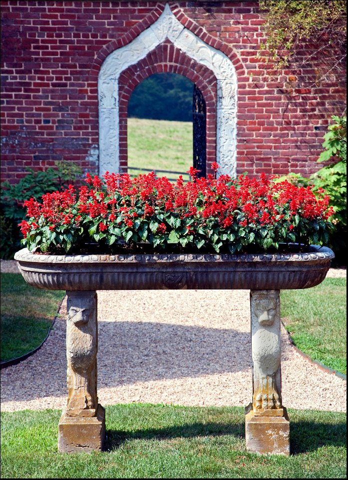 Montpelier garden. Fragment