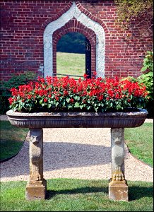 Montpelier garden. Fragment
