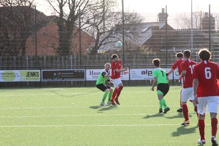 IMG_4116