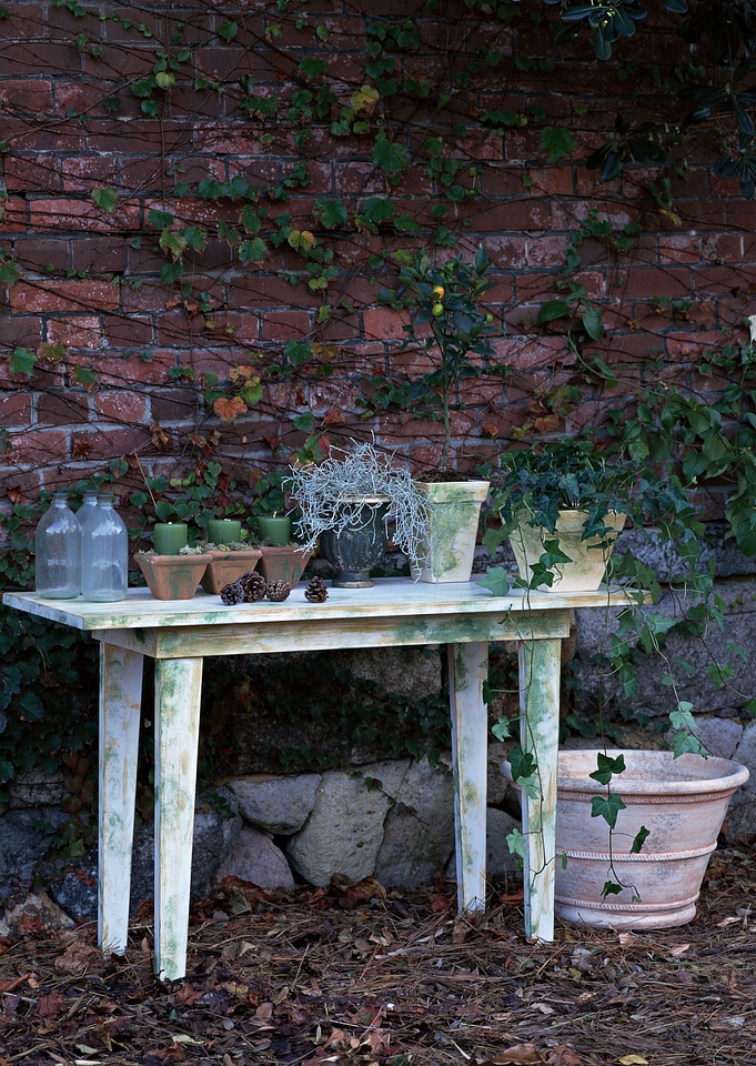 A small plant pot displayed in the brickwall