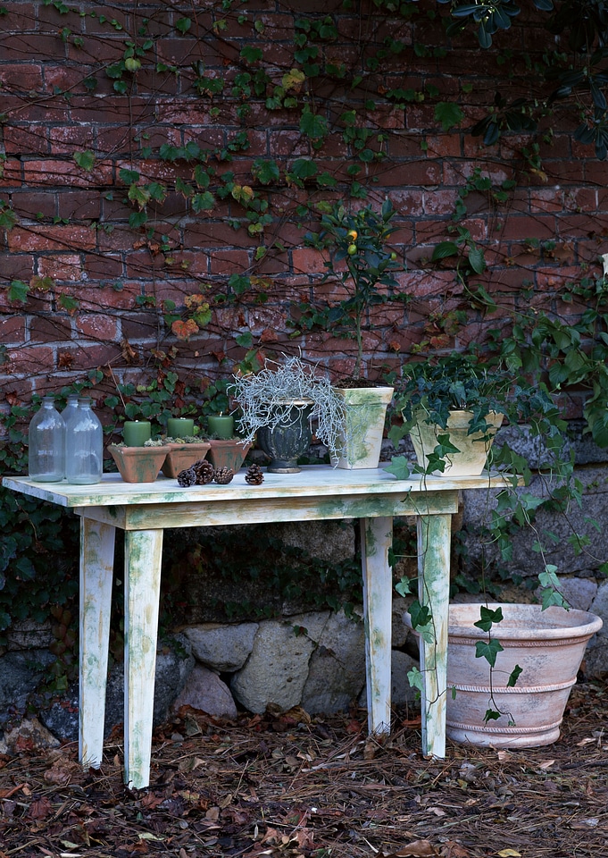 A small plant pot displayed in the brickwall photo