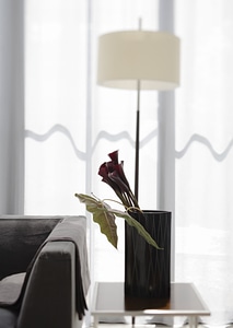 Sofa stand and Calla Lily flower