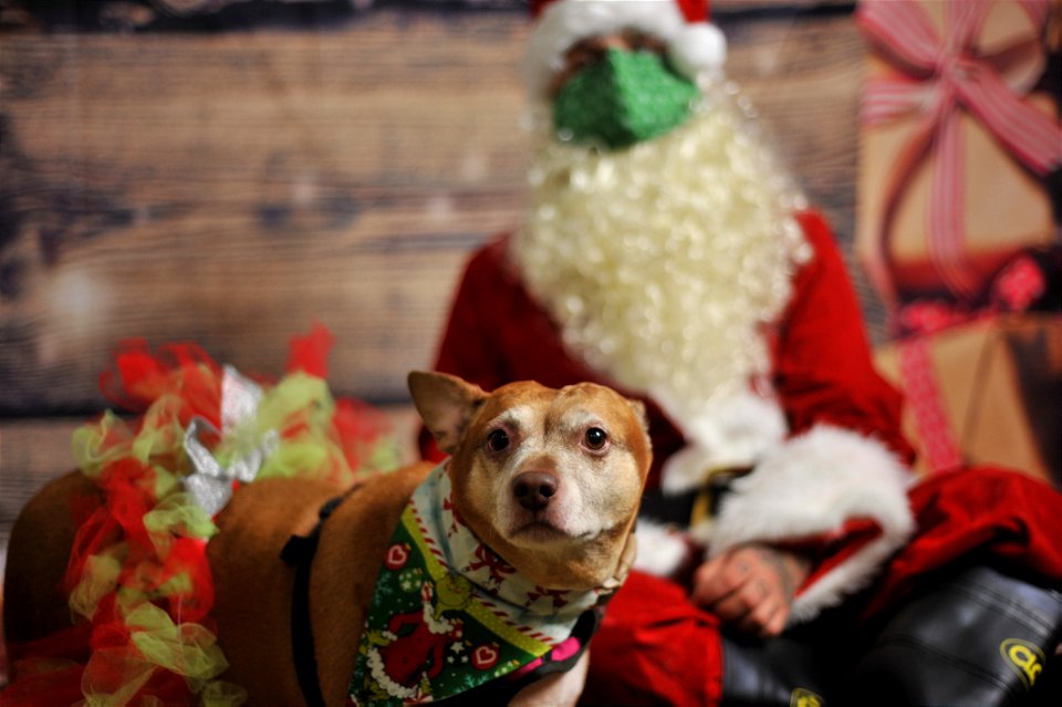 City of Elderly Love Claus for Paws Fundraiser