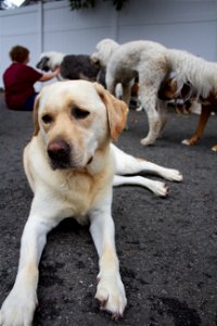 IMG_5177