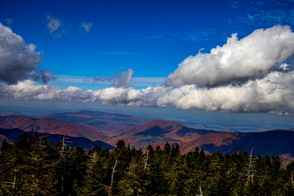 Clingman's Dome Great Smoky Mountains National Park
