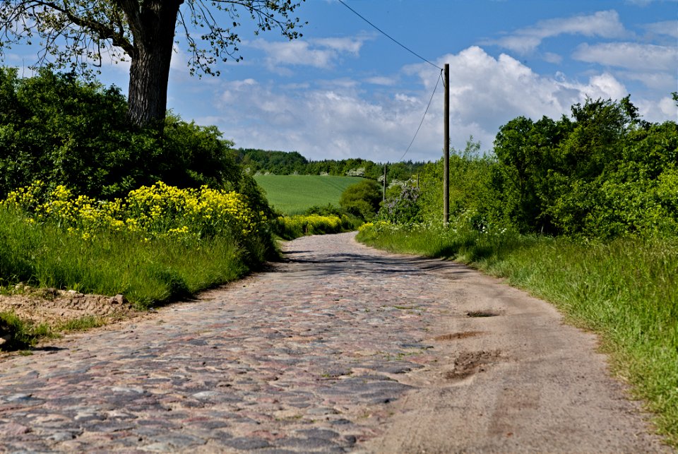 LSG Norduckermärkische Seenlandschaft 09