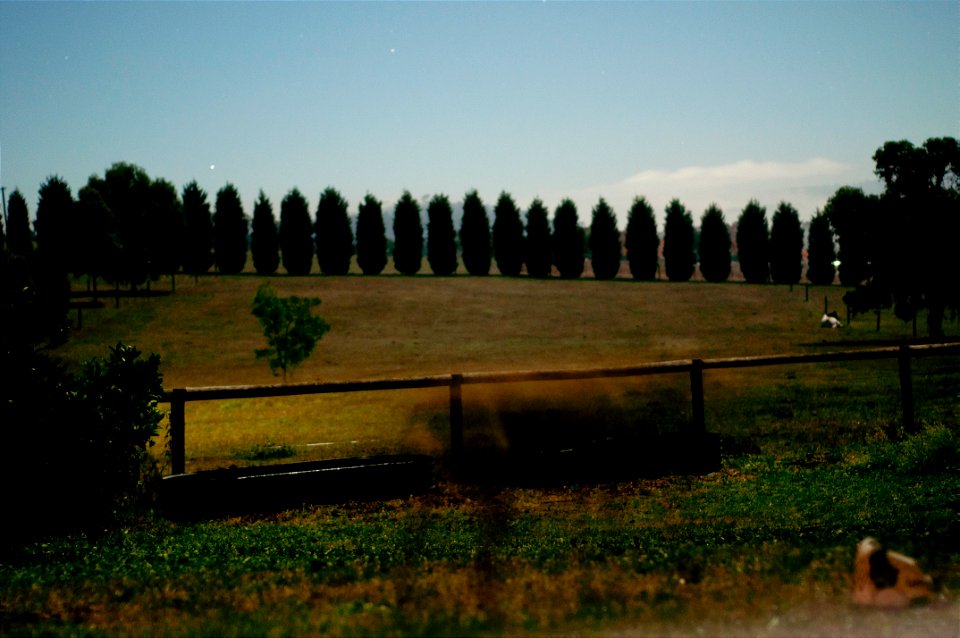 n_26613365236_o -