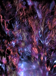 _dsc0838-1-6_23942940859_o -