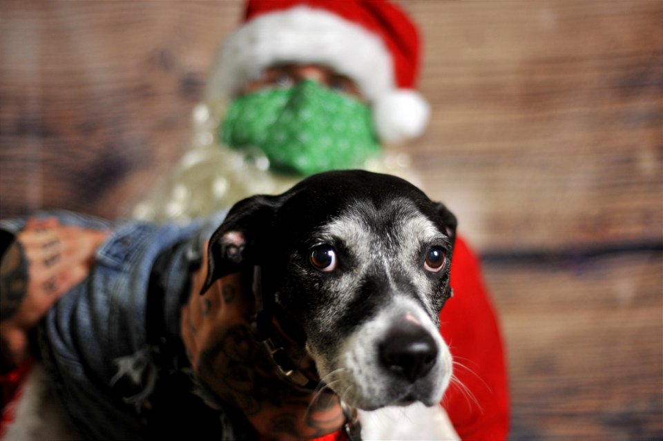City of Elderly Love Claus for Paws Fundraiser