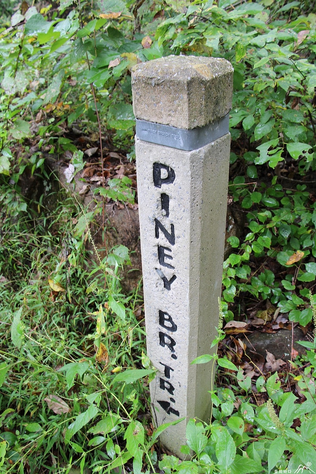 Piney Ridge Trail and Appalachian Trail Loop