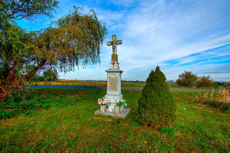 Rogów Opolski, Rogau