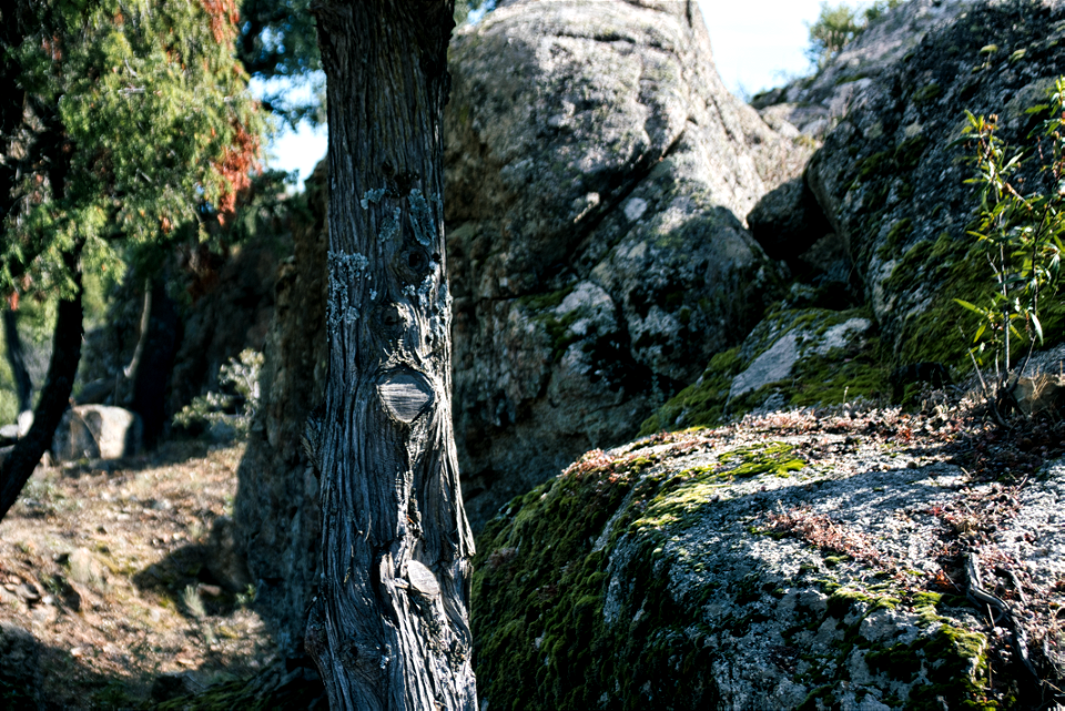 ¿Ves un cara? - Do you see a face?