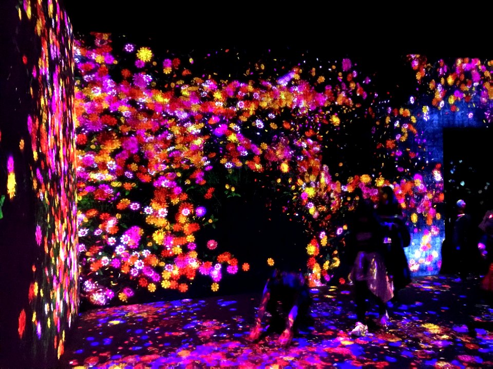 teamLab Borderless